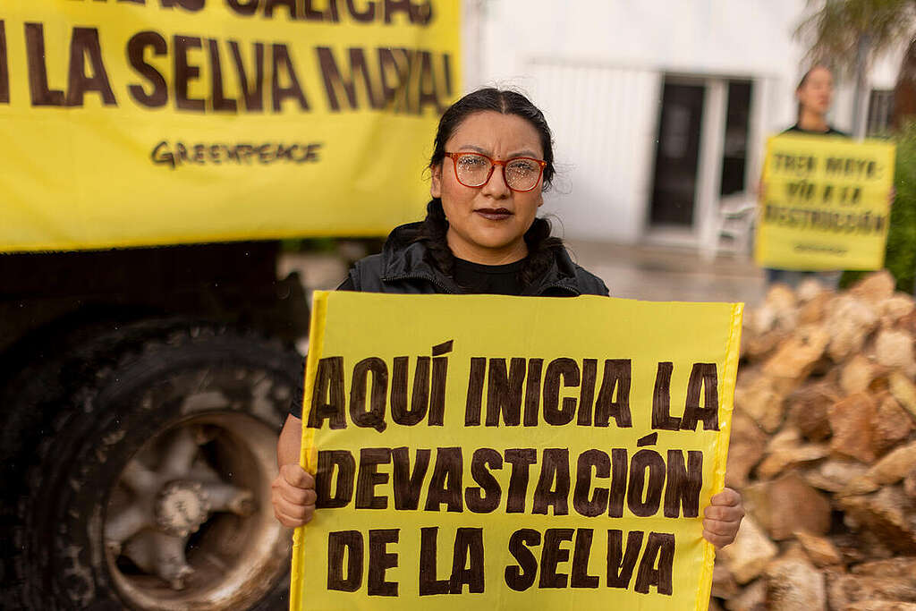 Greenpeace dumps stone material in front of  SEMARNAT and demands: No more Calicas in the  Selva Maya!. © Gustavo Graf / Greenpeace