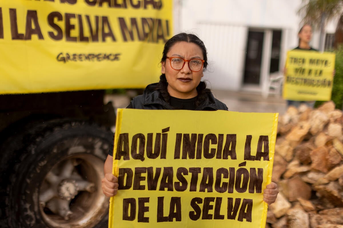 Greenpeace dumps stone material in front of  SEMARNAT and demands: No more Calicas in the  Selva Maya!. © Gustavo Graf / Greenpeace