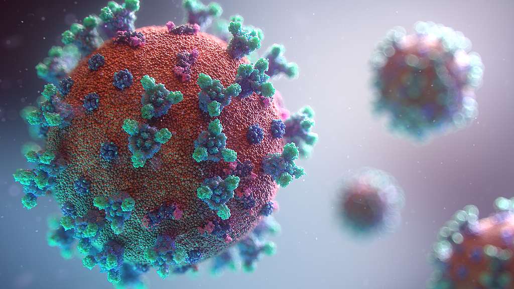 Fotografía que muestra la anatomía o forma del coronavirus. Fotografía que muestra la anatomía o forma del coronavirus.