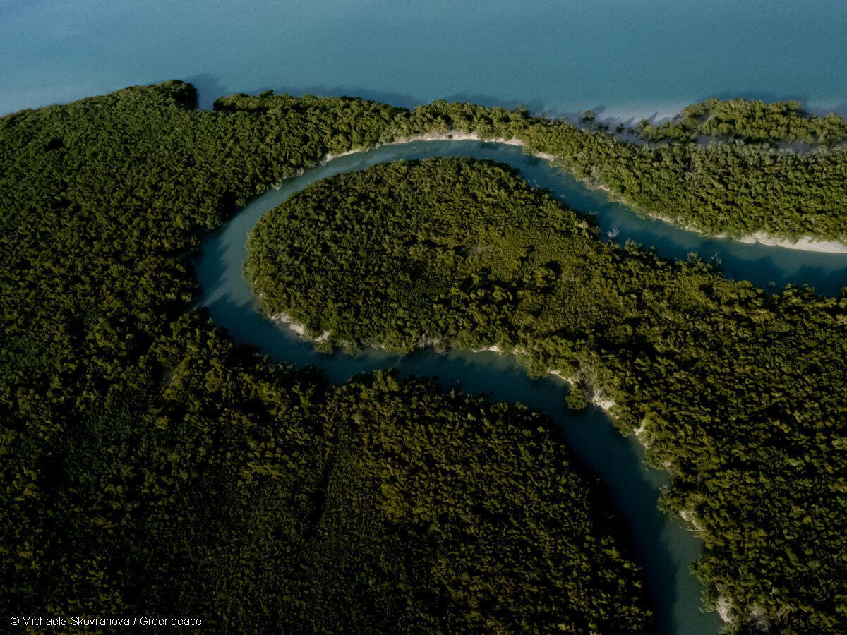 Toma aérea de un manglar en la bahía de Roebuck en Kimberley, país de Yawuru.