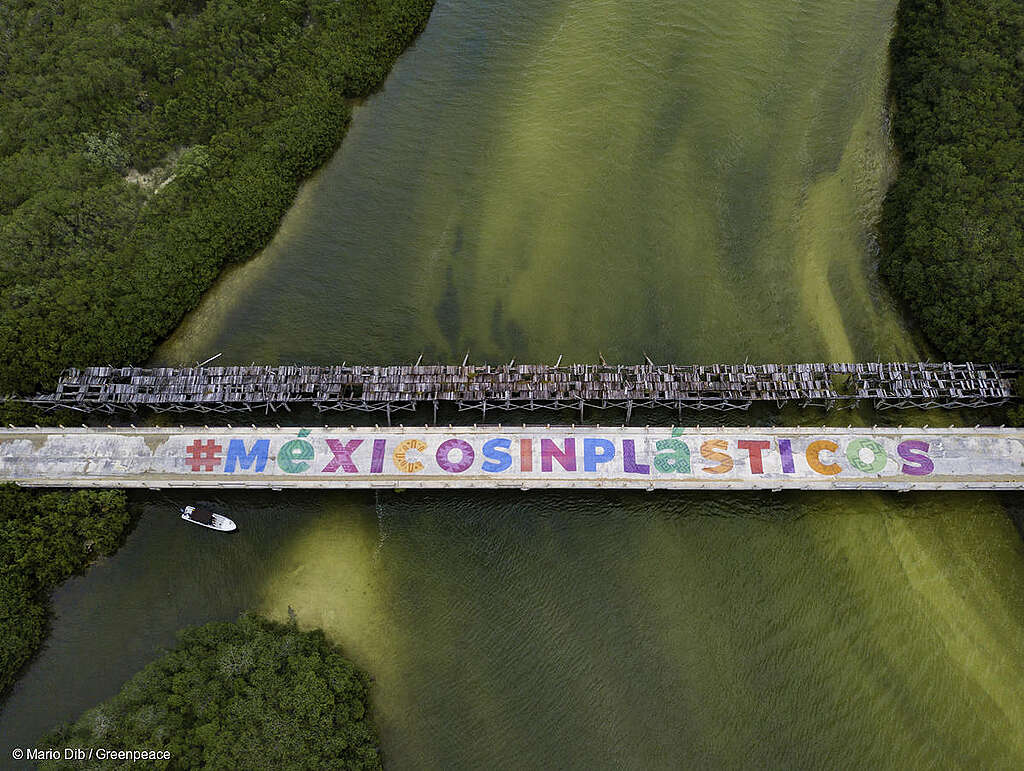 Letras gigantes en el puente de Boca Paila que dicen "México sin plásticos". Letras gigantes en el puente de Boca Paila que dicen "México sin plásticos".