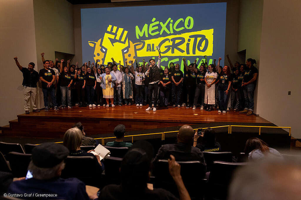 Fotografía del escenario y pantalla de proyección del documental "Voces de la Selva Maya", delante se observa a un grupo de personas presentando.