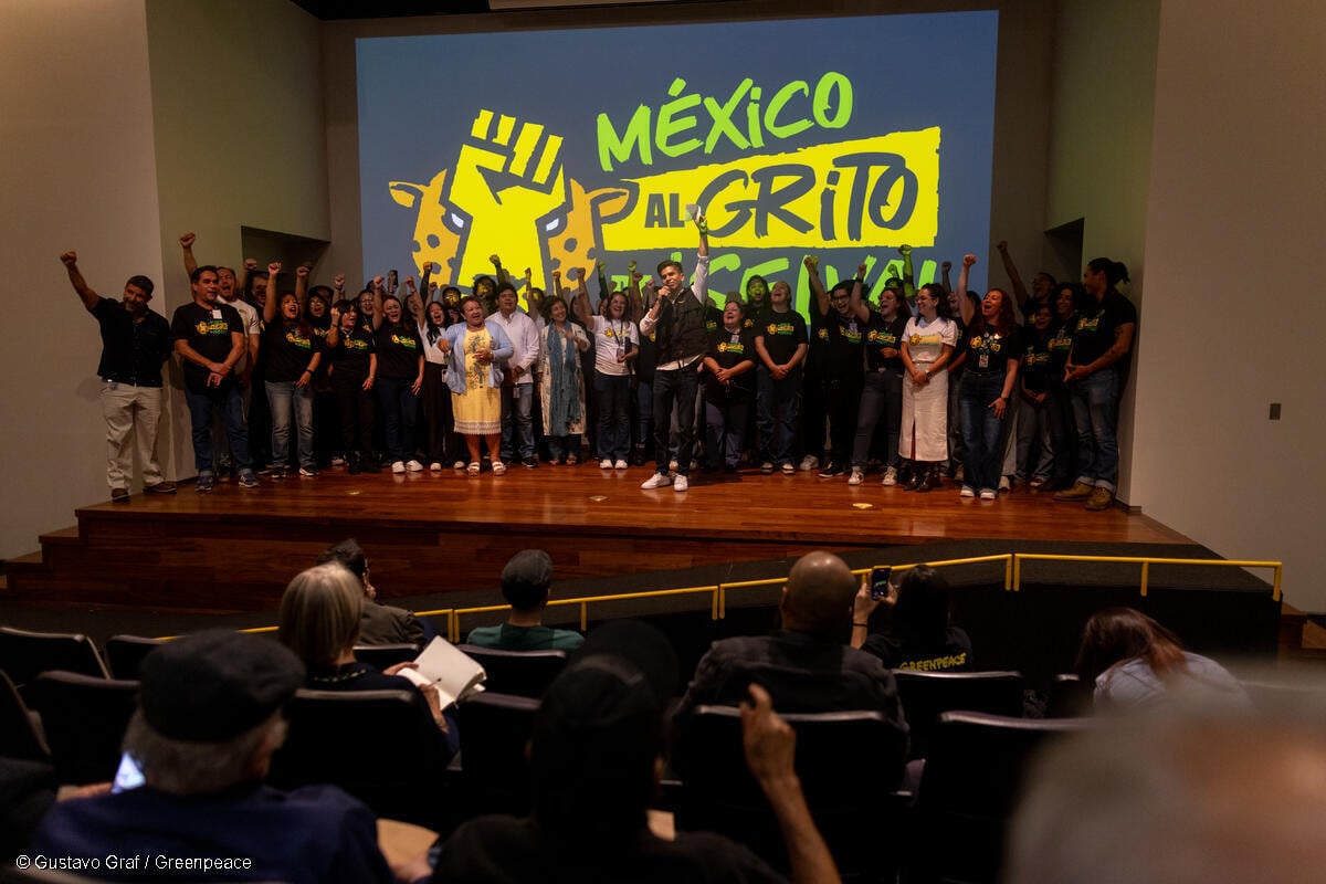 Fotografía del escenario y pantalla de proyección del documental "Voces de la Selva Maya", delante se observa a un grupo de personas presentando.