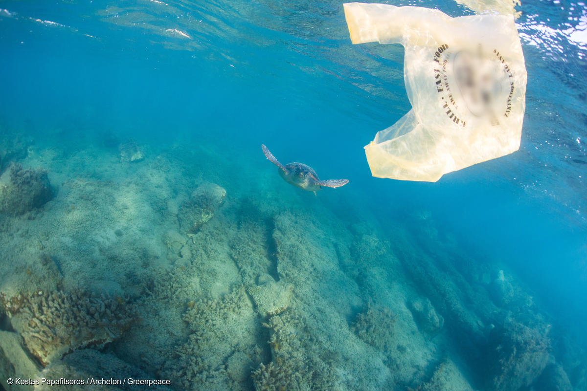 Bolsa de plástico en las aguas de la bahía de Laganas, Grecia