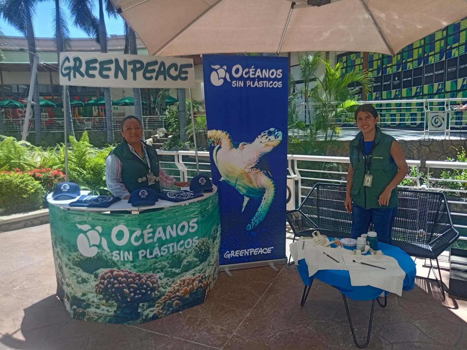 Fotografía del equipo de diálogo directo de Greenpeace México