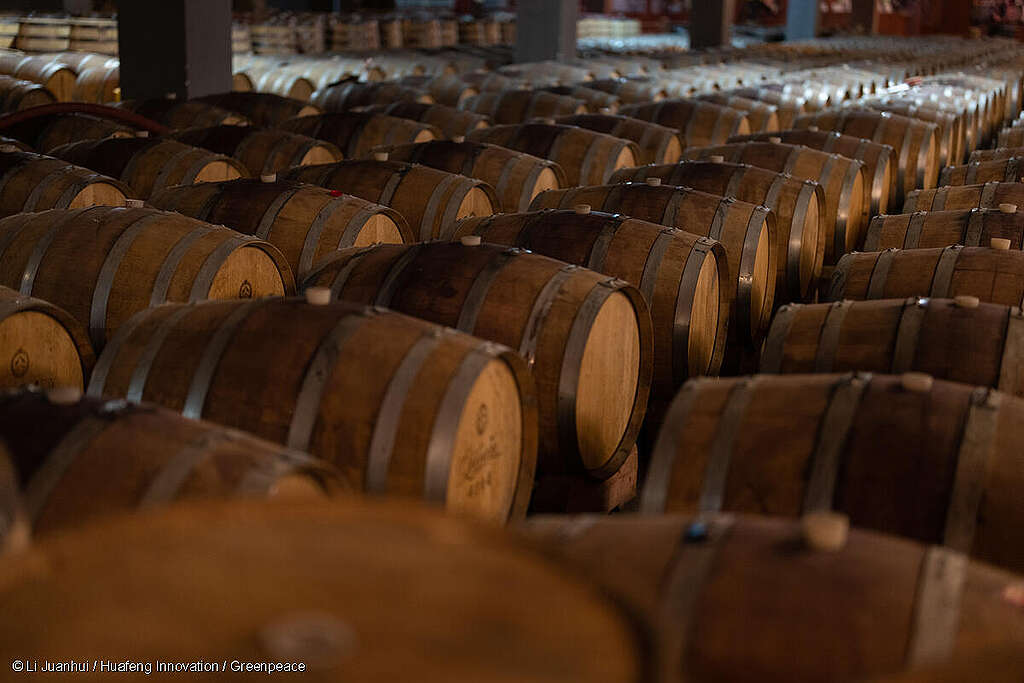 Fotografía de barriles de vino en una bodega. Fotografía de barriles de vino en una bodega.