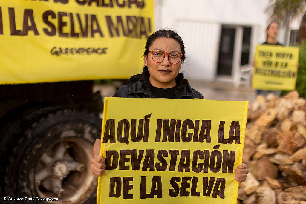 Activista de Greenpeace México sostiene una manta en la que se lee "Aquí inicia la devastación de la Selva Maya", frente a la SEMARNAT. Activista de Greenpeace México sostiene una manta en la que se lee "Aquí inicia la devastación de la Selva Maya", frente a la SEMARNAT.