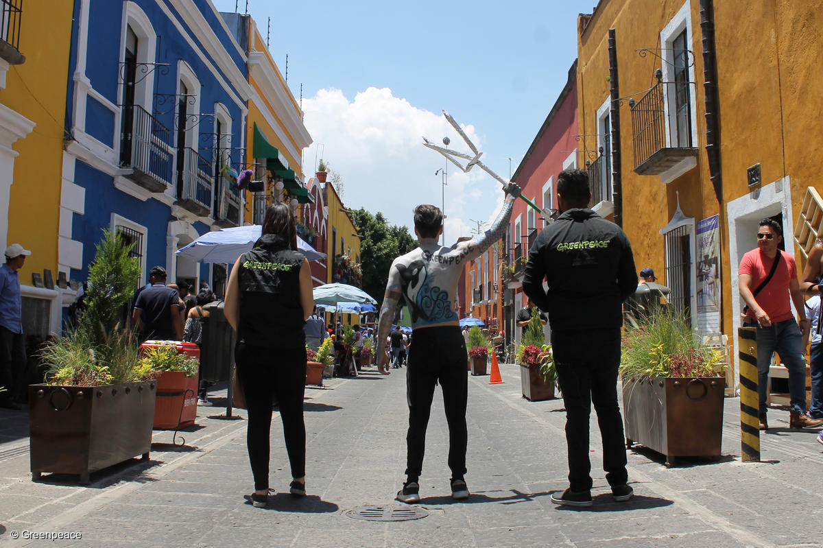 Fotografía de 3 activistas de Greenpeace México de espaldas portando chalecos de Greenpeace durante acción en contra del plástico.