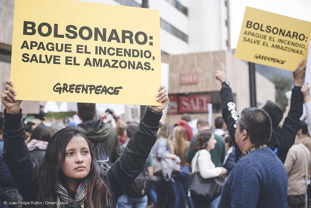 Fotografía de una protesta en la que se puede ver a una mujer sostener el mensaje "Bolsonaro: apague el incendio, salve el Amazonas" Fotografía de una protesta en la que se puede ver a una mujer sostener el mensaje "Bolsonaro: apague el incendio, salve el Amazonas"