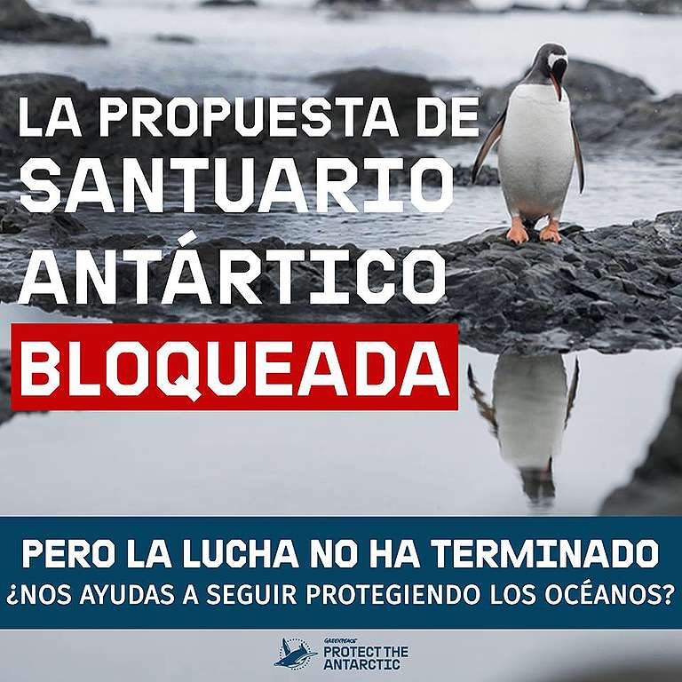 Fotografía edit en la que se lee "Propuesta de Santuario Antártico BLOQUEADA".