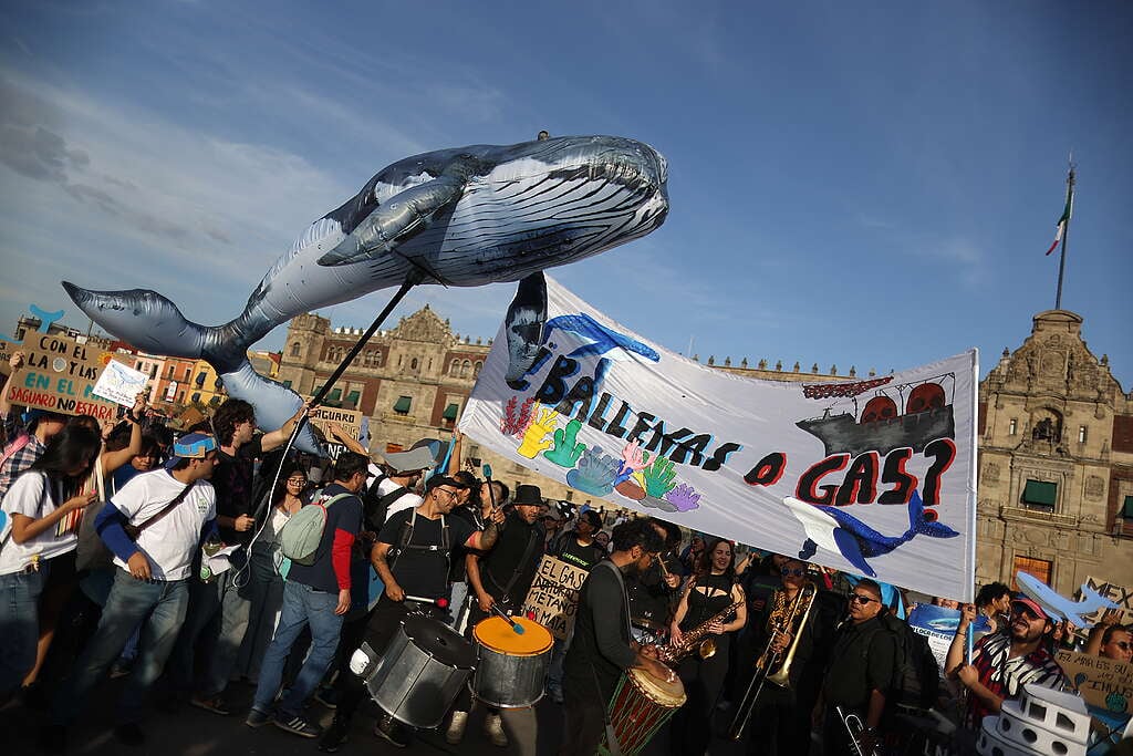 Fotografía del "Ballena Fest" en donde se observa a un grupo de personas protestando, sosteniendo un inflable gigante de ballena y mostrando una pancarta en la que se lee "¿Ballenas o gas?"