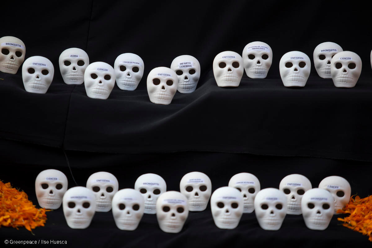Fotografía de un altar de muertos elaborado por Greenpeace México.