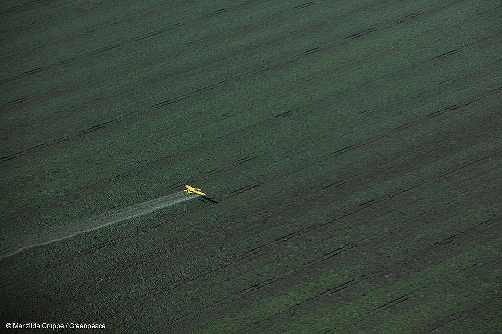 Toma aérea de avión que rocía pesticidas sobre una plantación, en el municipio de Riachão das Neves. Toma aérea de avión que rocía pesticidas sobre una plantación, en el municipio de Riachão das Neves.