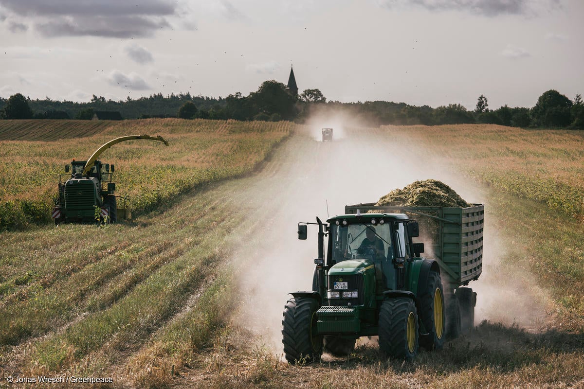 ¿Cuál es la diferencia entre agricultura ecológica vs agricultura industrial?