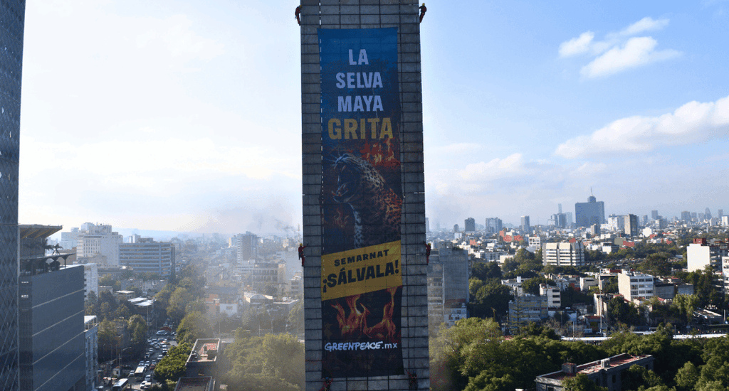 Activistas de Greenpeace México en la Estela de Luz con una manta que dice: “La Selva Maya Grita. Semarnat, ¡Sálvala!”