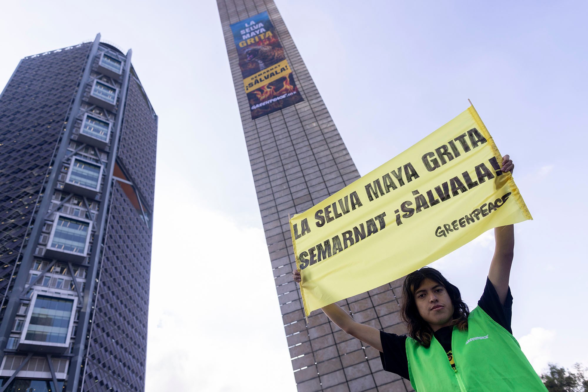 Semarnat respondió al mensaje de Greenpeace
