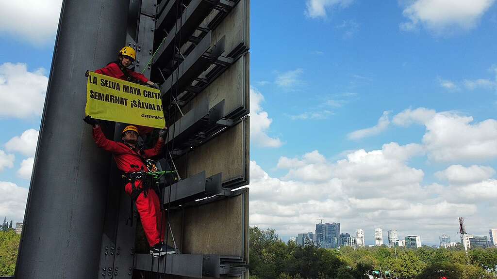 Activistas de Greenpeace escalan Estela de Luz para exigir a Semarnat protección integral de la Selva Maya