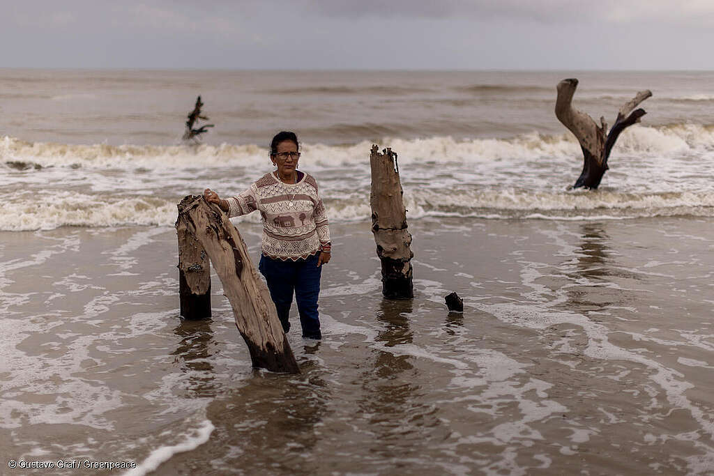 Fotografía de una mujer en medio del mar en lo que antes solía ser su comunidad: El Bosque, Tabasco. Fotografía de una mujer en medio del mar en lo que antes solía ser su comunidad: El Bosque, Tabasco.