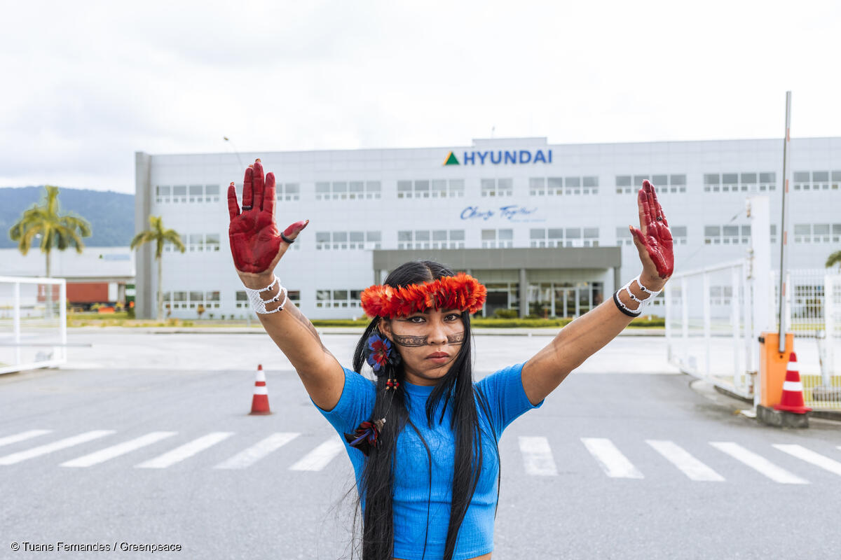 México no es un lugar seguro para las personas defensoras de la naturaleza