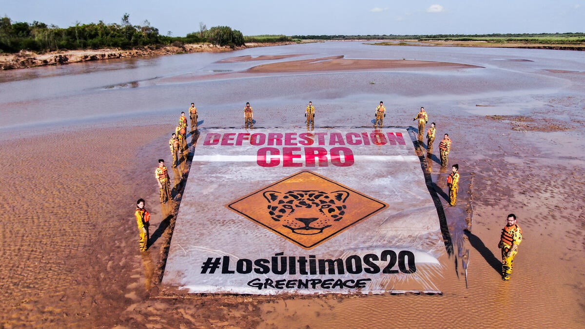 Zero Deforestation Claim in Río Bermejo, Argentina. © Damián Saldaño / Greenpeace