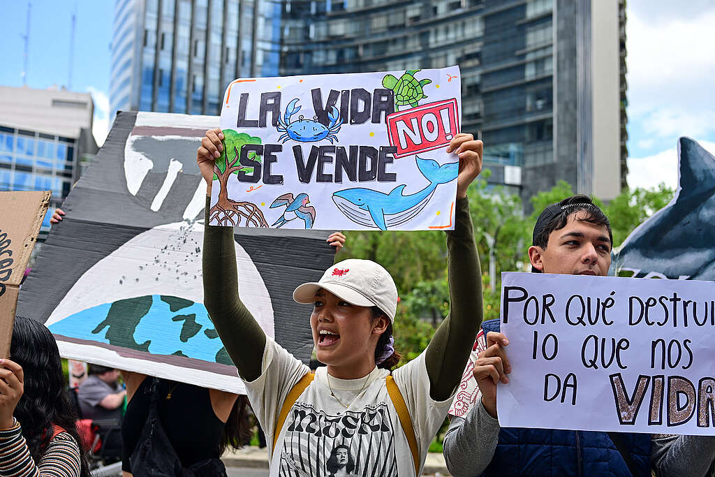 marcha por el clima, la vida y el futuro
