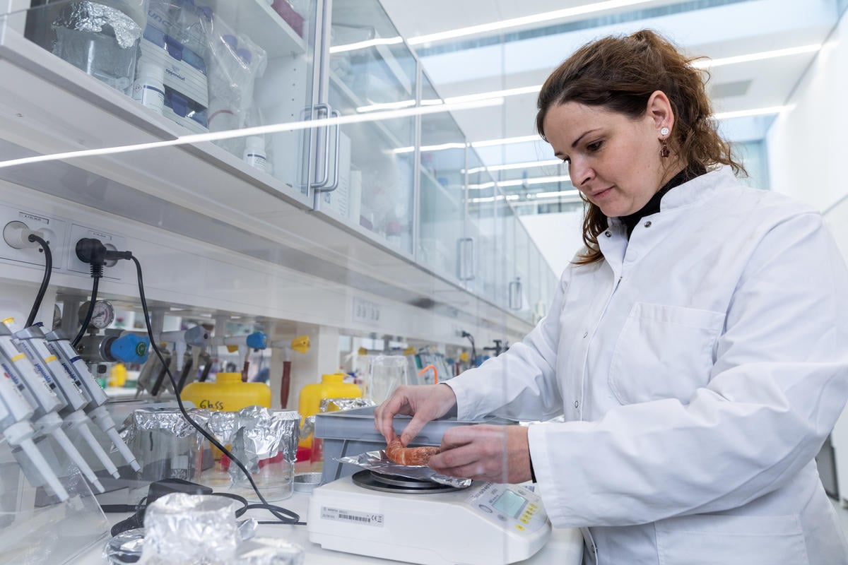 Microplastic in Fish and Seafood Research in Denmark. © Fred Dott / Greenpeace Microplastic in Fish and Seafood Research in Denmark. © Fred Dott / Greenpeace