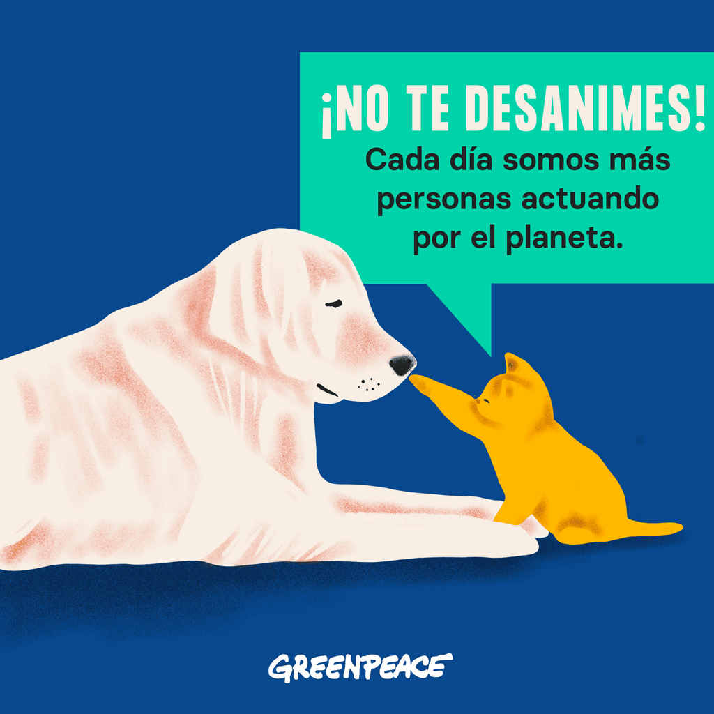 Ilustración de perro y gato, con diálogo de texto: ¡No te desanimes! Cada día somos más personas actuando por el planeta. Ilustración de perro y gato, con diálogo de texto: ¡No te desanimes! Cada día somos más personas actuando por el planeta.