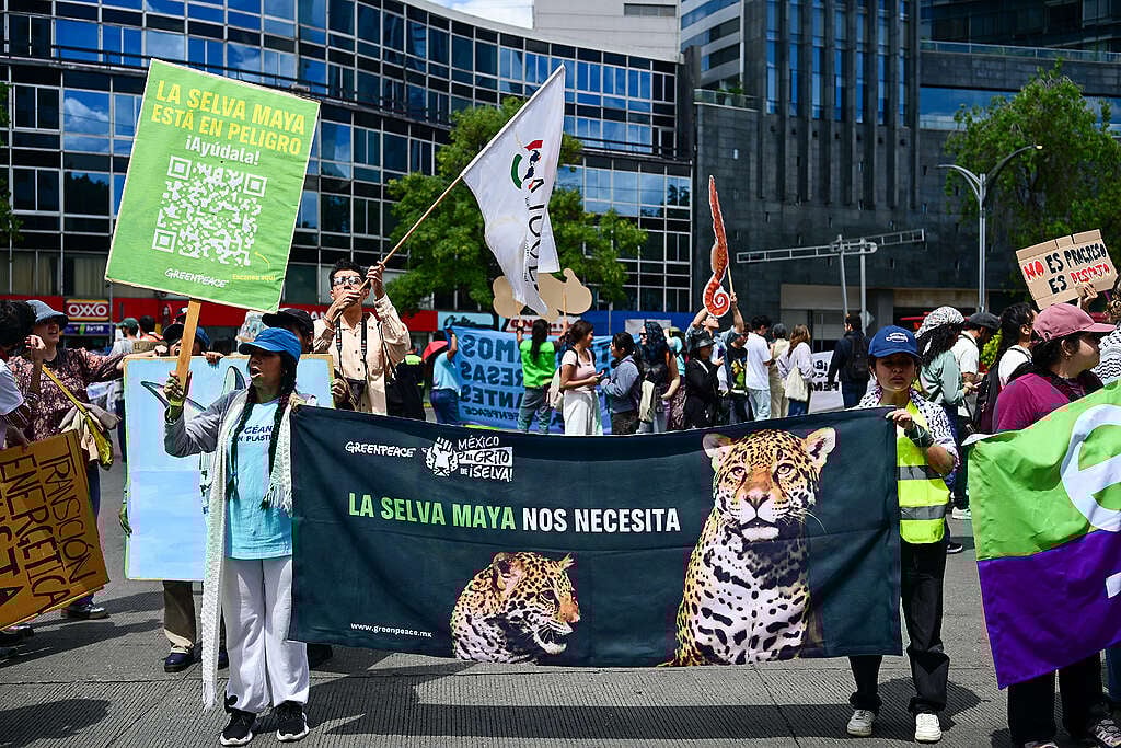 Marcha por el clima, la vida y el futuro. Con cartel que dice: La selva maya nos necesita, sostenida por voluntarias de Greenpeace México