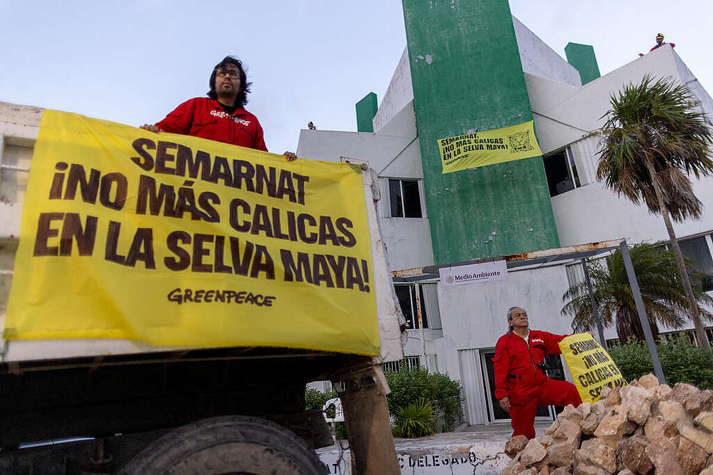 Greenpeace dumps stone material in front of SEMARNAT and demands: No more Calicas in the Selva Maya!Greenpeace vuelca material pétreo frente a la SEMARNAT y exige: ¡No más Calicas en la Selva Maya! Selva Maya Semarnat