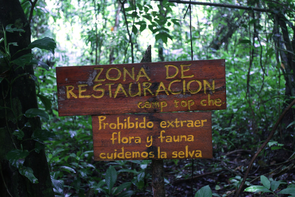Sign in Mexican Rainforest. © Ginnette Riquelme / Greenpeace