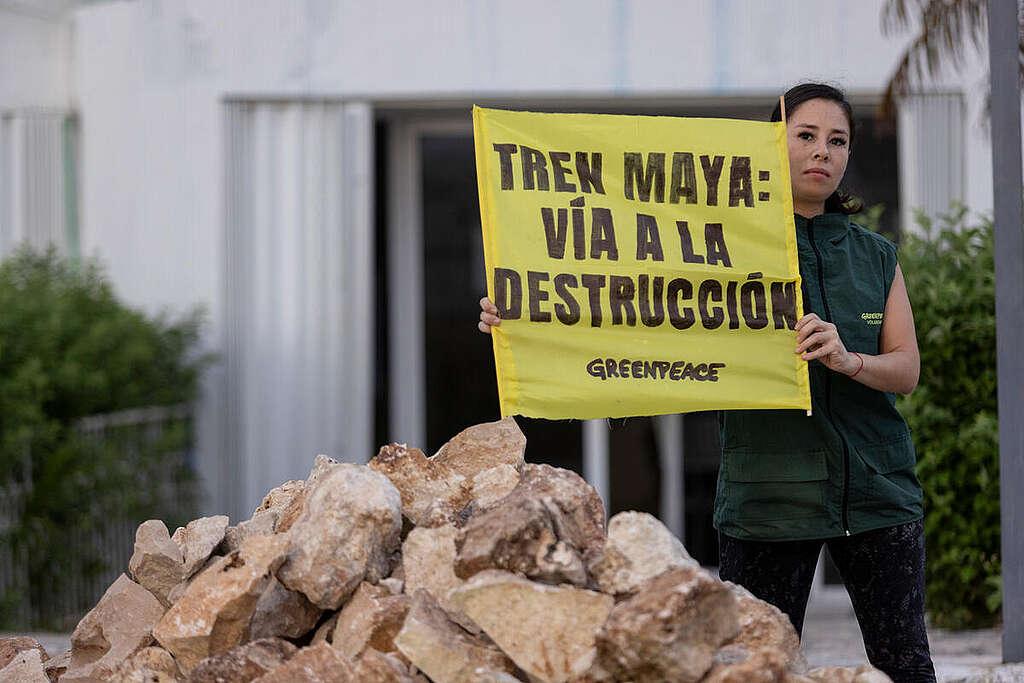 Greenpeace dumps stone material in front of  SEMARNAT and demands: No more Calicas in the  Selva Maya!. © Gustavo Graf / Greenpeace