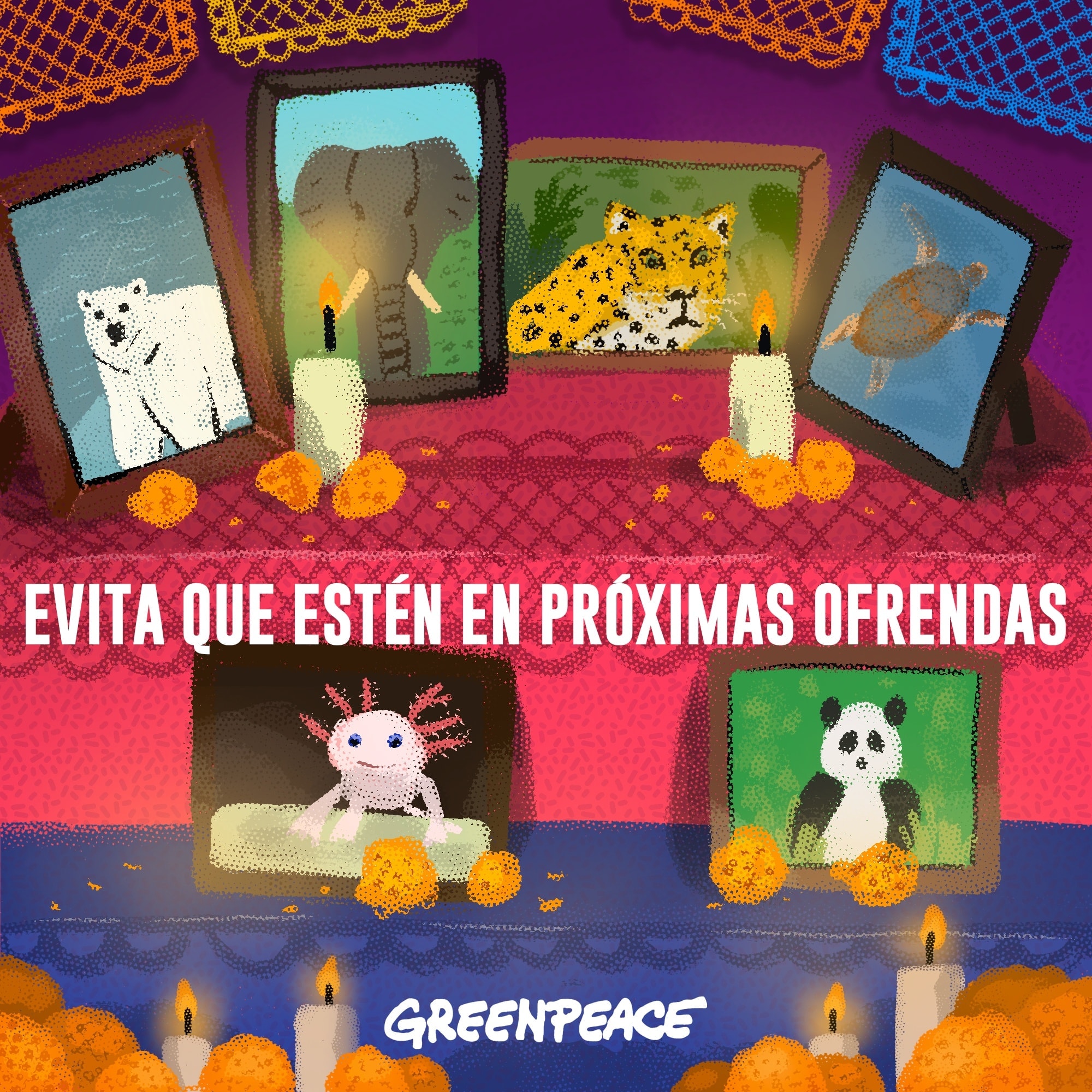 ¿Cómo afecta el cambio climático a la vida de los seres vivos? Las vidas que estamos perdiendo silenciosamente en el planeta