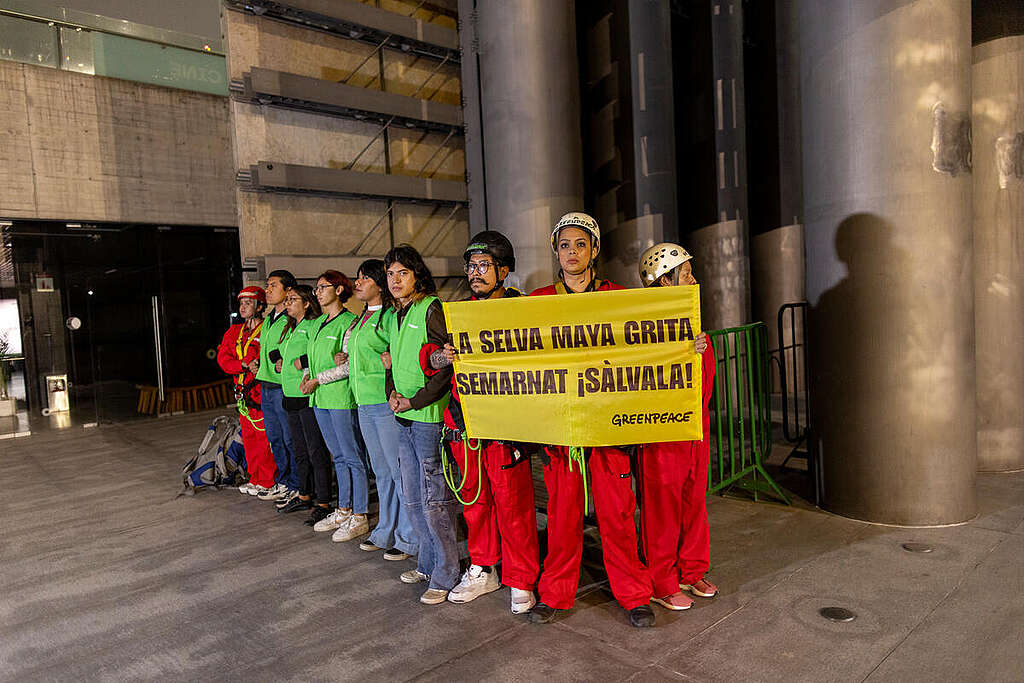 Selva Maya Semarnat
