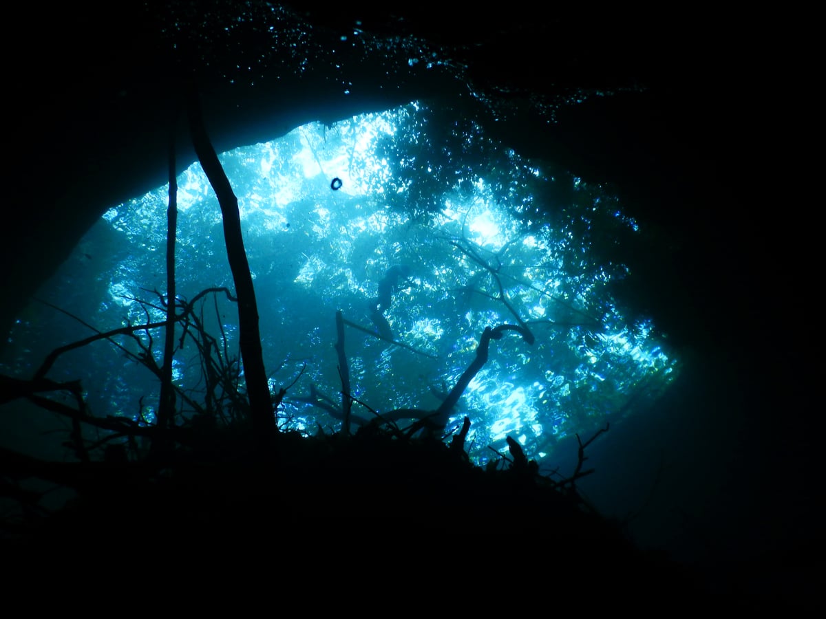 Water Sample Testing in Yucatán Peninsula in Mexico. © Robin Canul / Greenpeace Water Sample Testing in Yucatán Peninsula in Mexico. © Robin Canul / Greenpeace