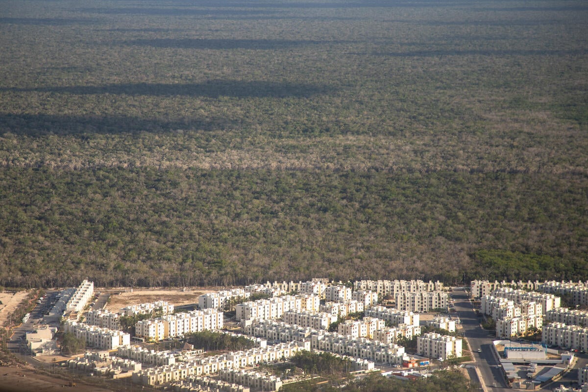 Real Estate Developments in the Mayan Jungle. © Greenpeace / Prometeo  Lucero