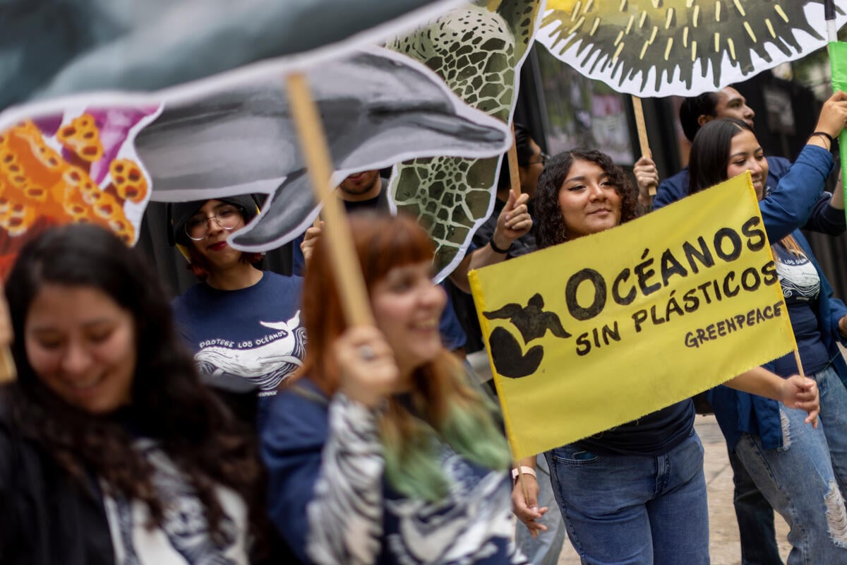 Action at Senate: Mexico Ratifies the Global Oceans Treaty. © Gustavo Graf / Greenpeace