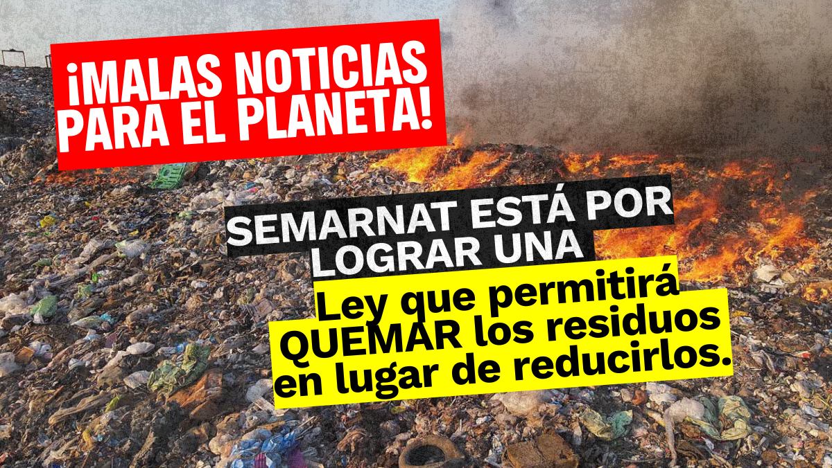 Ley de Economía Circular