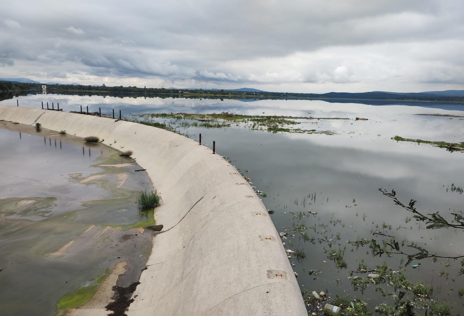 Participar en una consulta ¿sin información?