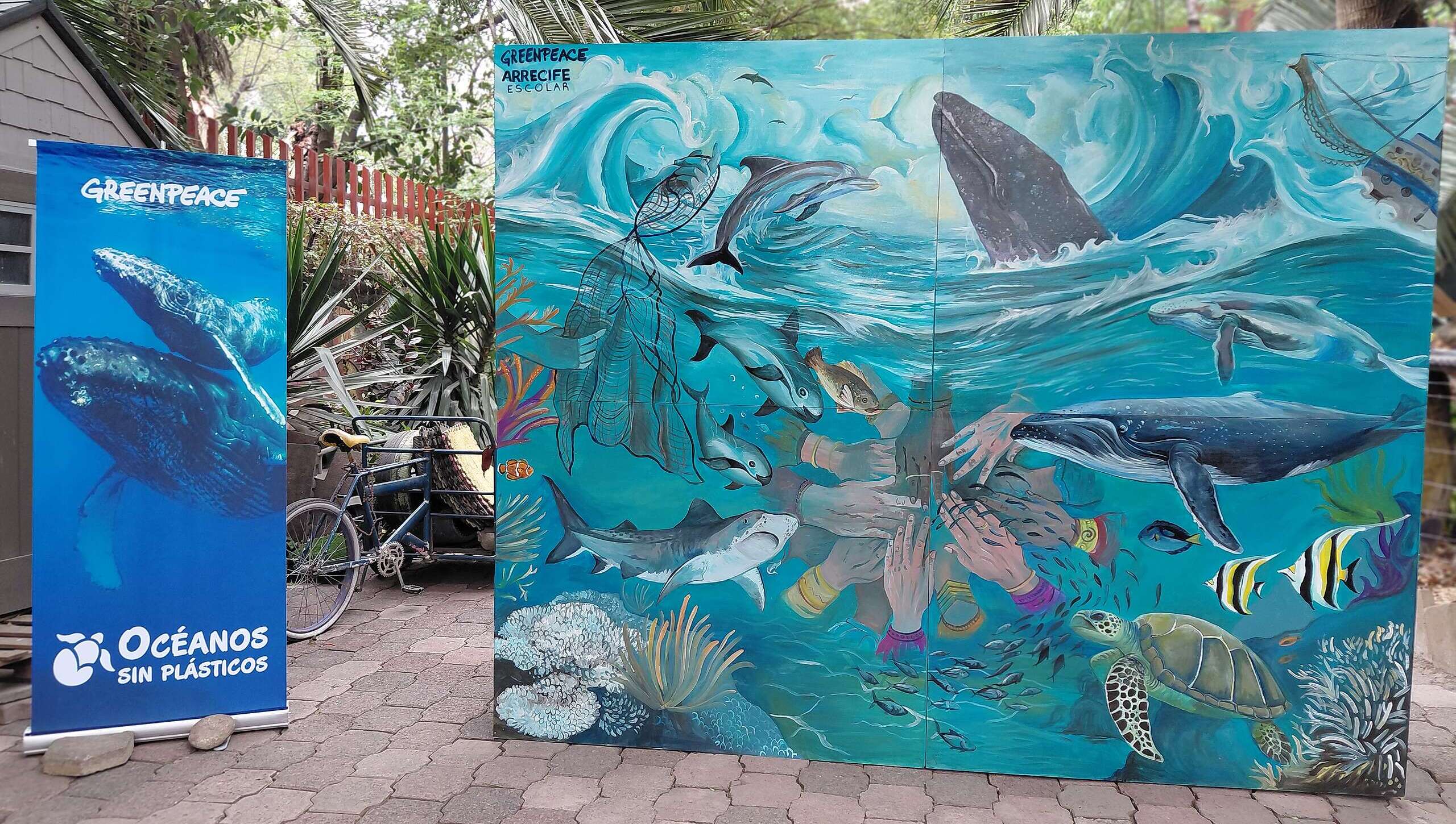 La voz de millones: ¡Celebramos el Tratado Global por los Océanos!