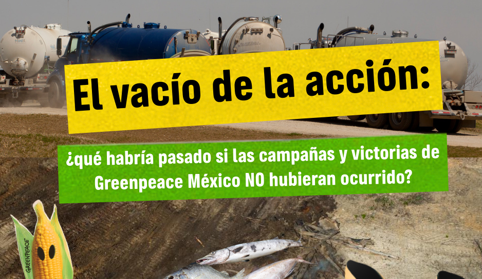 El vacío de la acción: un mundo sin Greenpeace México
