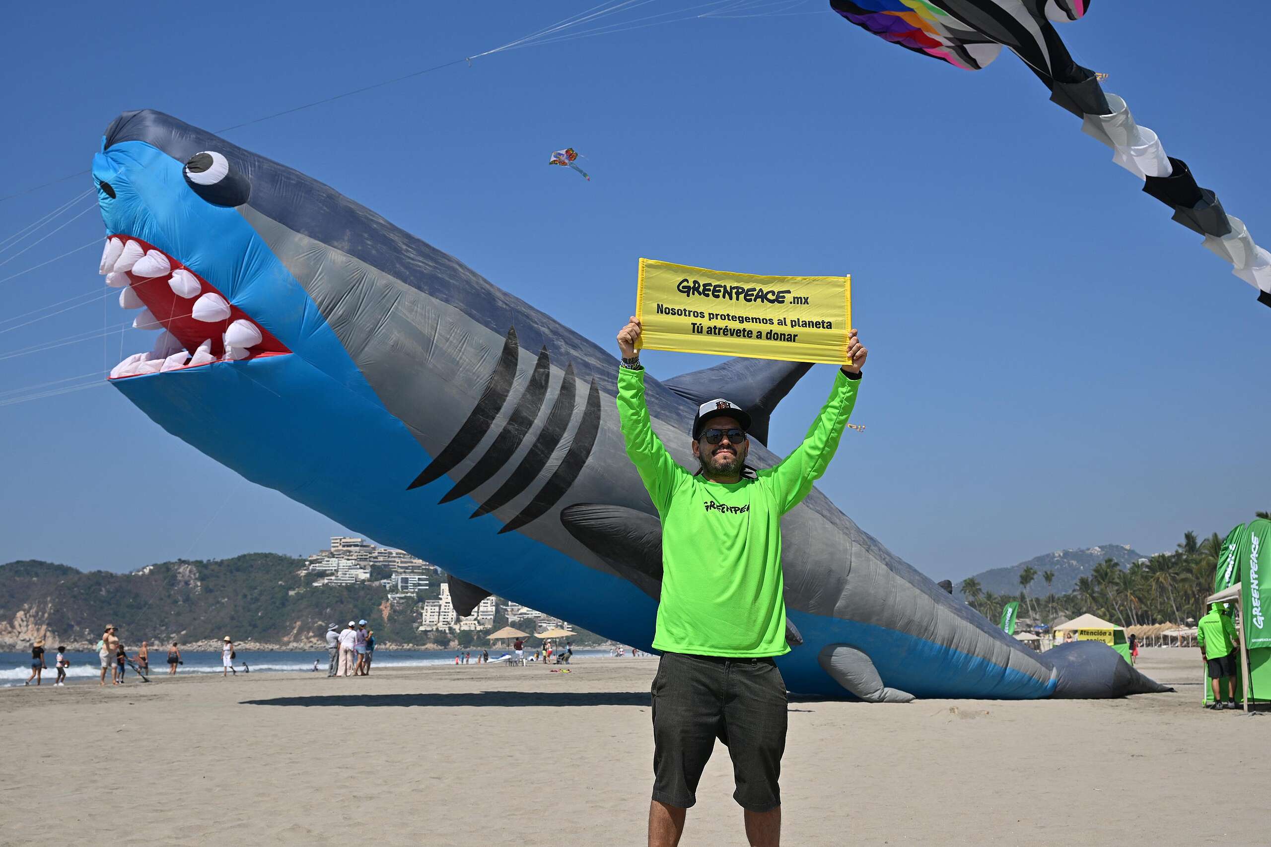 Acapulco lleno de vida marina