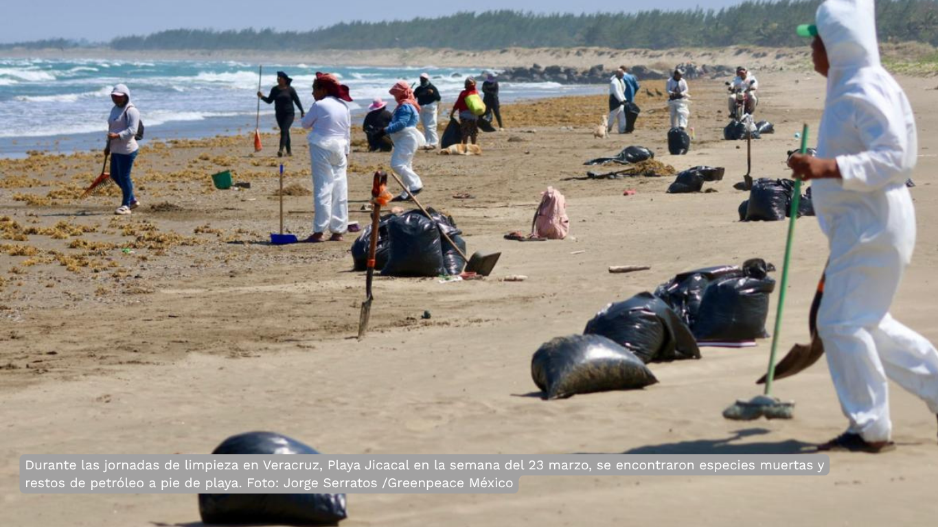 Ocultaron información de derrame en el Golfo