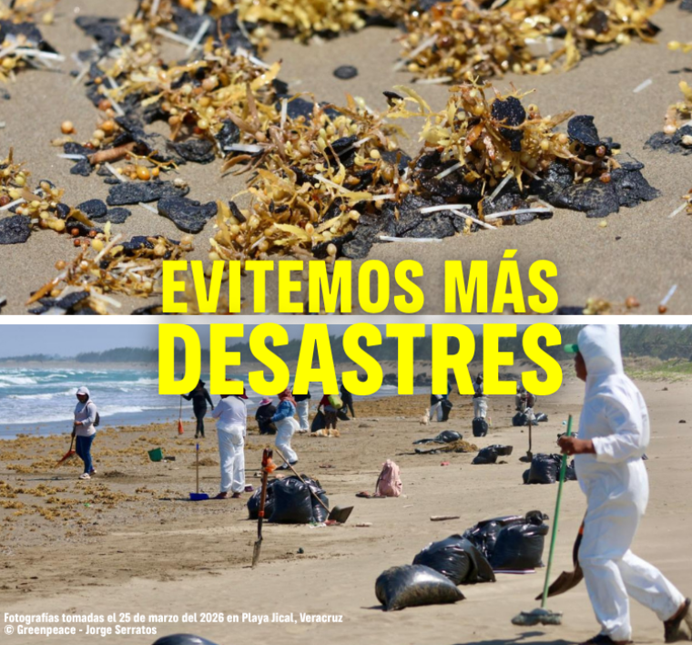 ¡Qué no desacrediten nuestra voz!