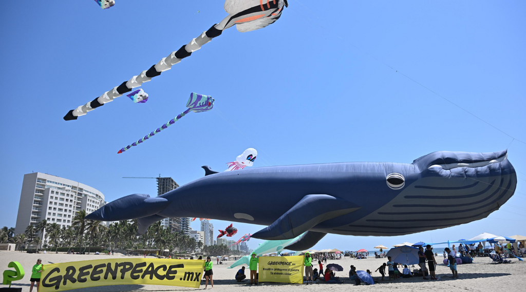 Festival de Papalotes Greenpeace 2026