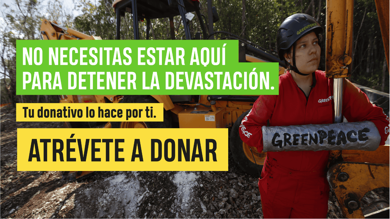 No necesitas estar aquí para detener la devastación. Tu donativo lo hace por ti, atrévete a donar.