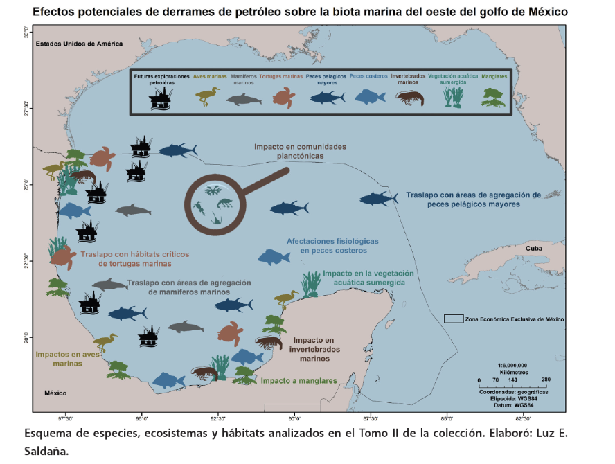 Vidas bajo el agua: la supervivencia marina ante un derrame de petróleo.