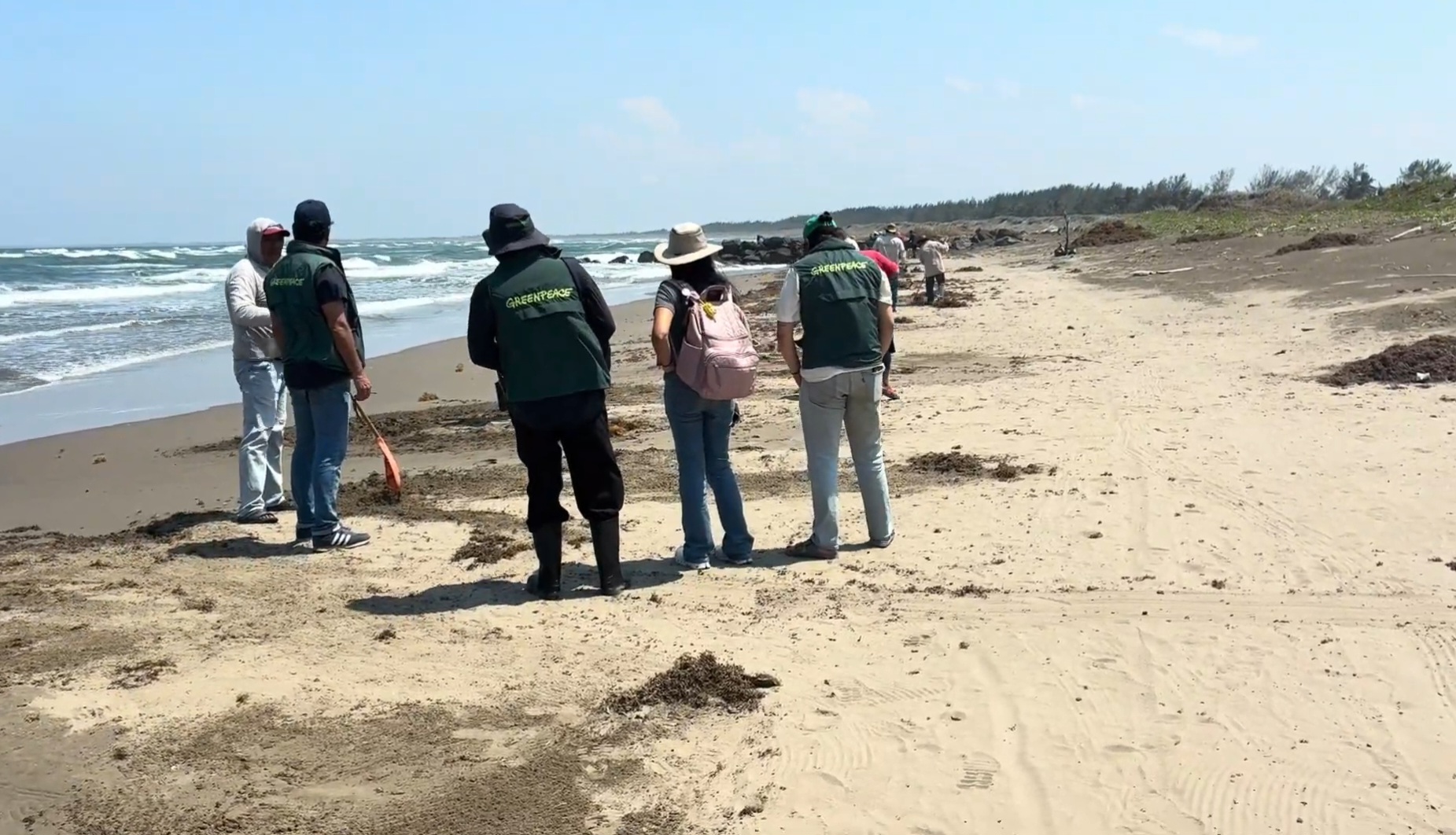 Una mancha en el mar y en la comunidad: crónica desde Veracruz.