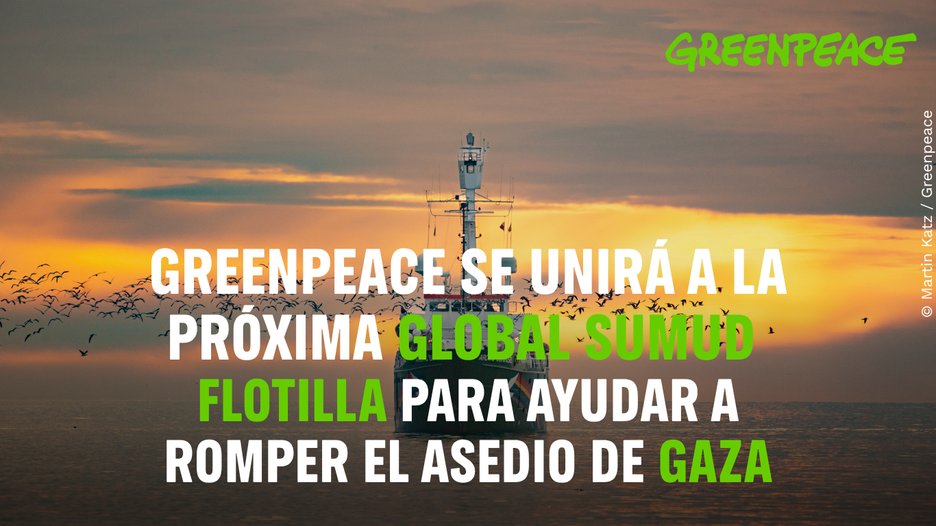 La esperanza navega.