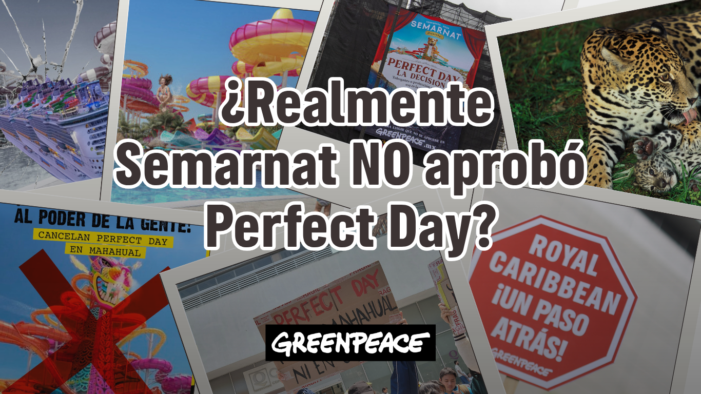 Entonces… ¿Realmente Semarnat no aprobó Perfect Day?