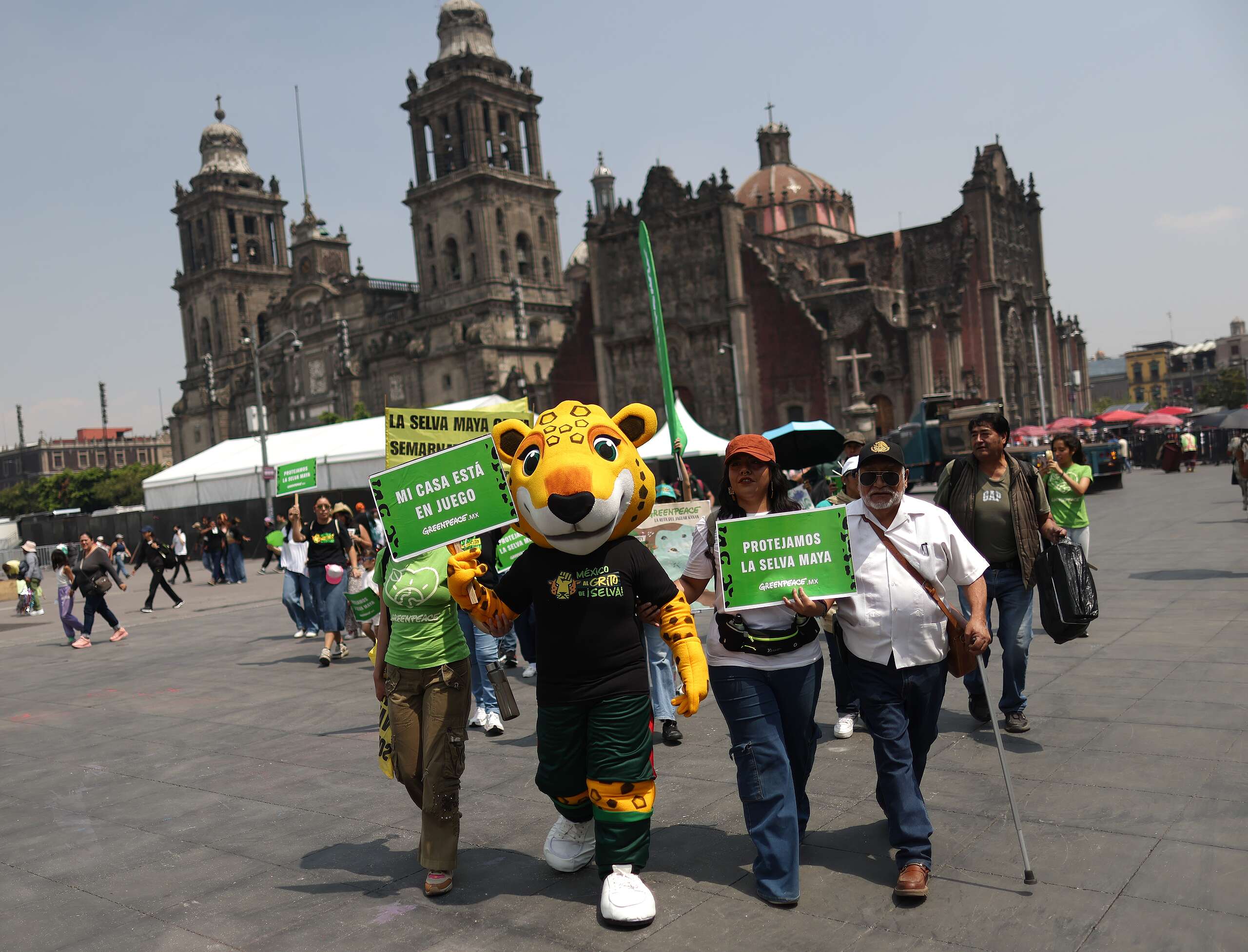 Kanan, jaguar que defiende la Selva Maya, inicia su rugido nacional durante el Mundial